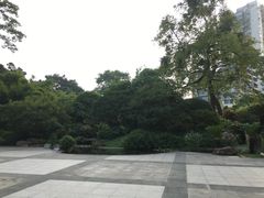 -晓港公园