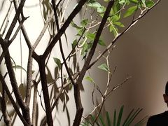 -tea'stone (万象天地店)