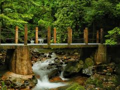 -瓦屋山景区