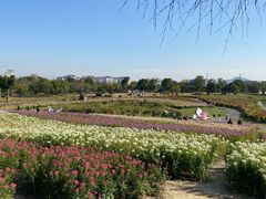 -径山花海