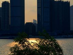 -武昌江滩
