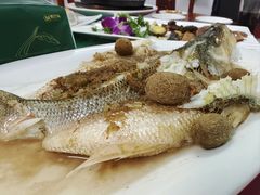 -吴祥记潮州菜·百年老字号·砂锅粥