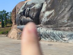 -三水森林公园