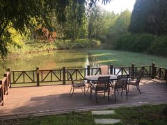 -崇明东平国家森林公园烧烤房车露营地