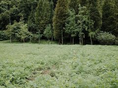 -贵阳市花溪国家城市湿地公园