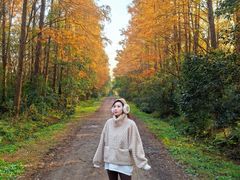 -上海海湾国家森林公园