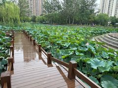 -南翠屏公园