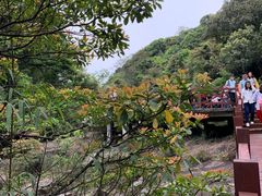 -广州市石门国家森林公园