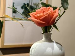 -荷风细雨·中国茶宴(碧云店)