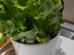 -古乐牛香·鲜牛肉牛杂火锅(新区店)