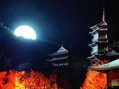 -禅宗少林·音乐大典