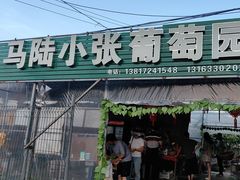 -马陆小张葡萄园农家乐