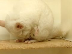 -龙猫仔乐园(惠福东路店)