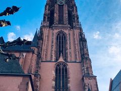 -Restaurant Paulaner am Dom