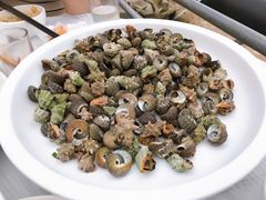 白灼辣螺-丰收渔港饭店(嵊泗店)