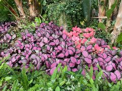 -华南国家植物园-售票处