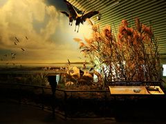 -中国湿地博物馆