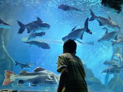 -多彩贵州城极地海洋世界