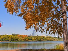 -长春市南湖公园