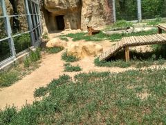 -临沂动植物园