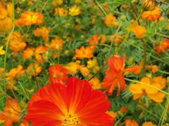 -帽儿山国家森林公园