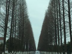 -龚家花园农家乐休闲别墅
