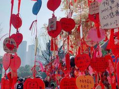 -合肥融创乐园