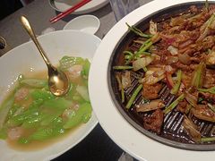 -秀儿四九城·新京菜(亚运村鸟巢店)