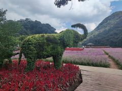 -广州市石门国家森林公园