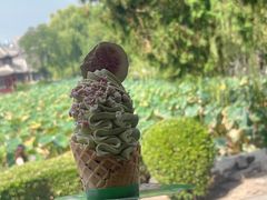 -莲池书院博物馆
