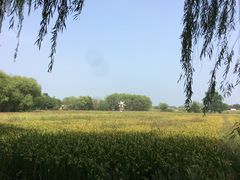 -长兴太湖图影湿地文化园