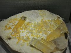 -湖南省地质博物馆