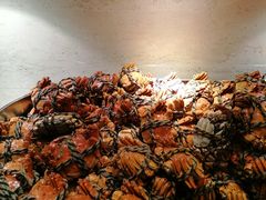 -新发展亚太JW万豪酒店·福苑咖啡厅
