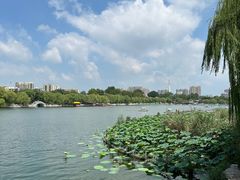 -济南大明湖景区