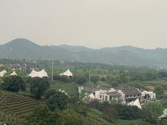 -帐篷客·溪龙茶谷度假酒店