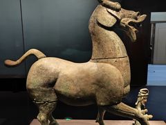 -广西壮族自治区博物馆