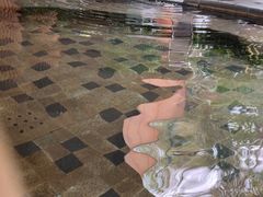 -碧水湾温泉