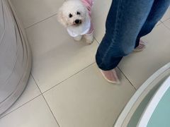 -怪兽屋·羊驼·猫咖·狗咖(俊华广场店)