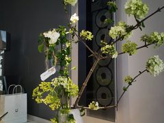 -dotcom coffee古点咖啡(致真大厦店)