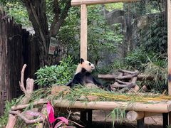 -深圳野生动物园