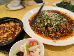-陈麻婆豆腐(春熙店)
