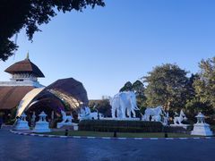 -清迈夜间动物园