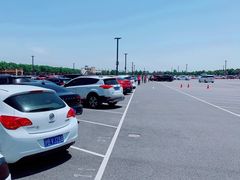 -迪士尼乐园停车场