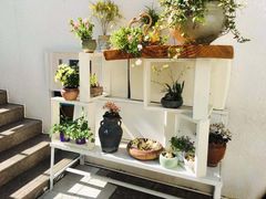 -艺墅家·福建菜·百年侨楼(集美学村大社店)