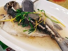 -古榕农庄·桑拿簸箕菜·招牌泥焗鸡(清远长隆店)