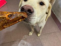 -田螺姑娘炸鸭爪(炭步店)