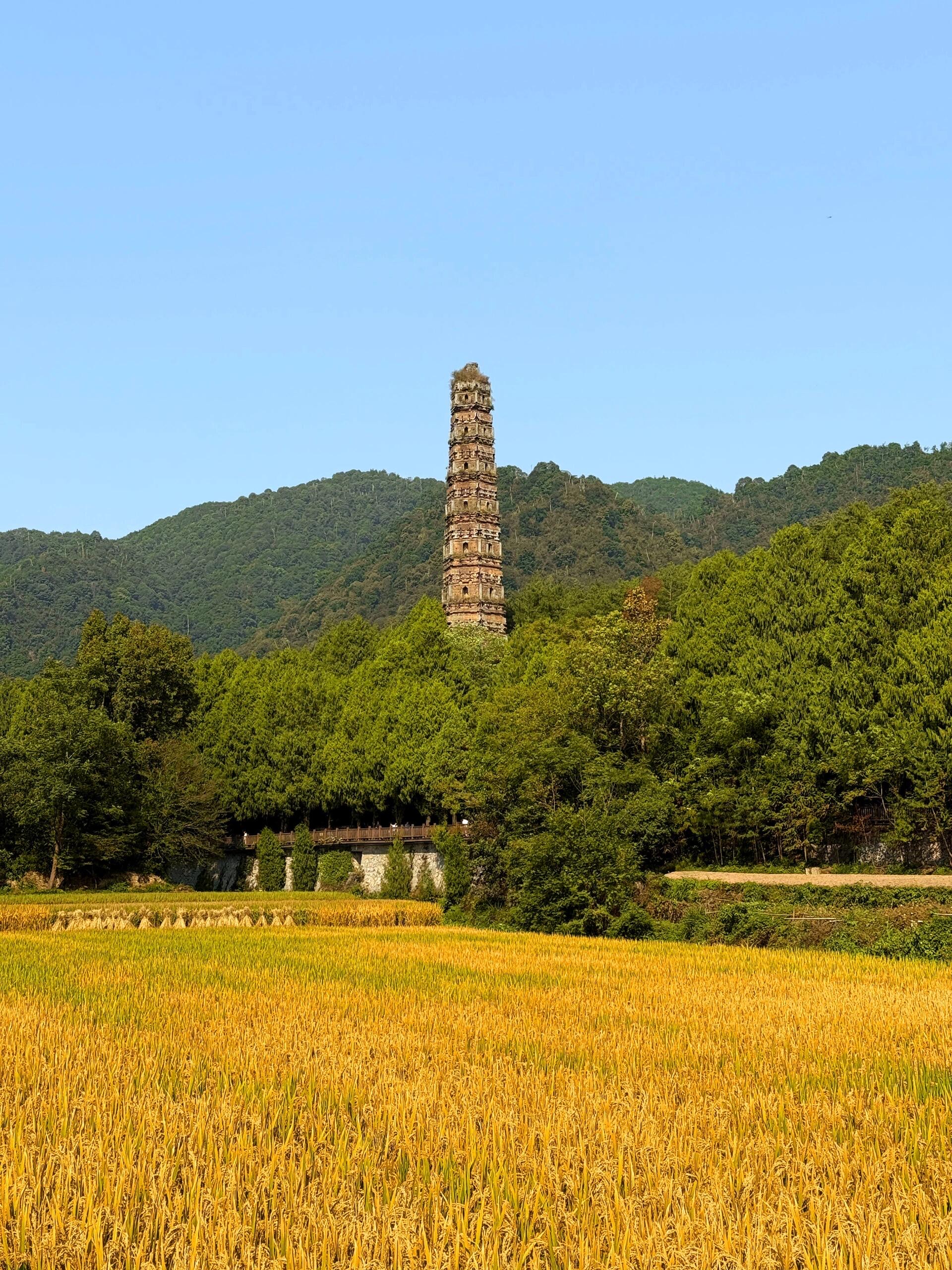 台州国清寺还是有点玄学在身上的