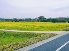 -良渚古城遗址公园