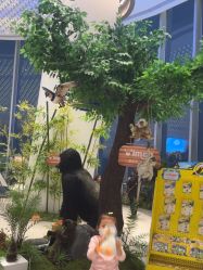 -IMON·HANSA潮玩玩偶毛绒玩具(通州万象汇店)