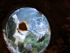 -珠海长隆海洋王国
